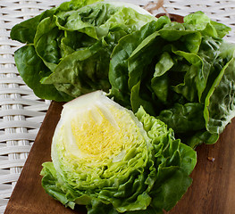 Image showing Fresh Romaine Lettuce