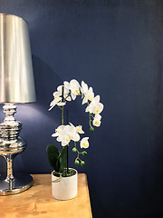 Image showing Elegant white orchid and metal lamp