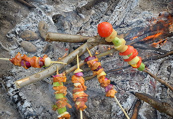 Image showing Stick of barbeque roasting