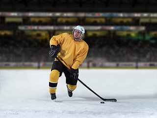 Image showing ice hockey player in action