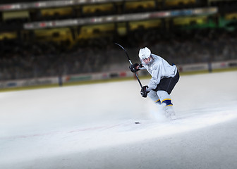 Image showing ice hockey player in action