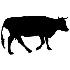 Image showing Black silhouette of cash cow on white background