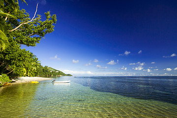 Image showing Tropical beach 