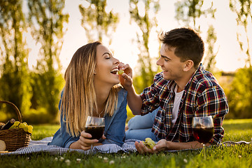 Image showing Just us and a Picnic