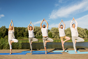 Image showing people making yoga in tree pose on mat outdoors