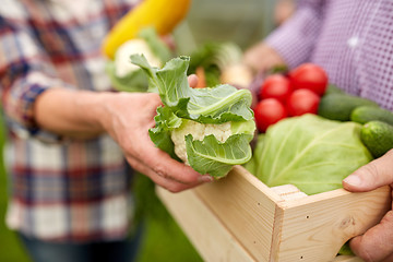 Image showing senior couple with box of vegetables on farm