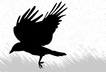 Image showing Crow silhouette
