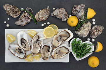Image showing Oysters and Pearls
