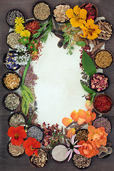 Image showing Herbal Medicine Selection