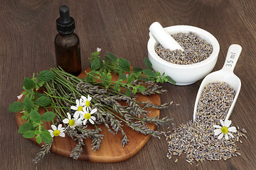 Image showing Natural Herbal Medicine