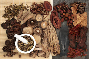 Image showing Chinese Alternative Herbal Medicine