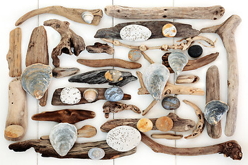 Image showing Natural Driftwood, Seashell and Rock Abstract