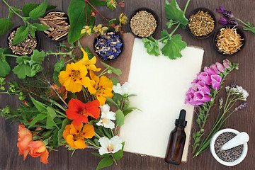 Image showing Naturopathic Flowers and Herbs