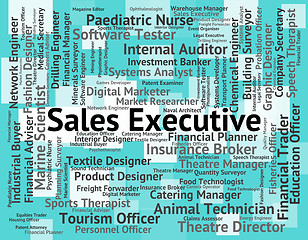 Image showing Sales Executive Means Director General And Md