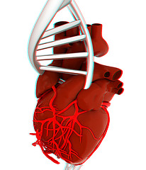 Image showing DNA and heart. 3d illustration. Anaglyph. View with red/cyan gla