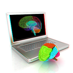 Image showing creative three-dimensional model of real human brain and scan on