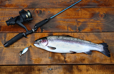 Image showing Freshly caught salmon lying on the footbridge with fishing rod