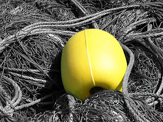 Image showing yellow buoy and ropes