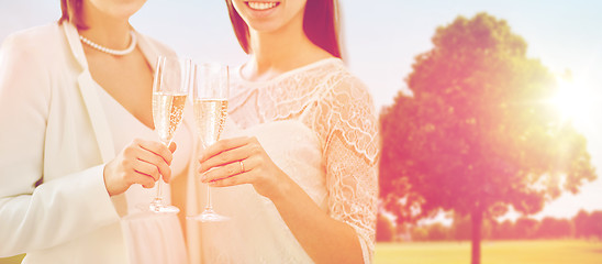 Image showing close up of lesbian couple with champagne glasses