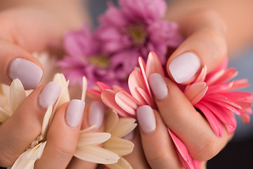 Image showing woman hands with manicure holding flower