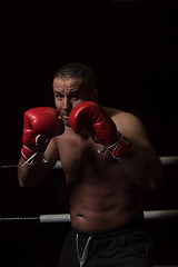 Image showing professional kickboxer in the training ring