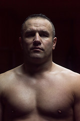 Image showing portrait of muscular professional kickboxer