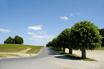 Image showing Road and nature