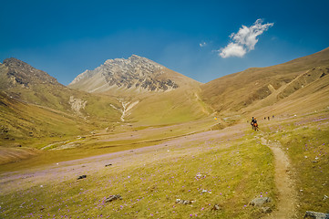 Image showing People on horses