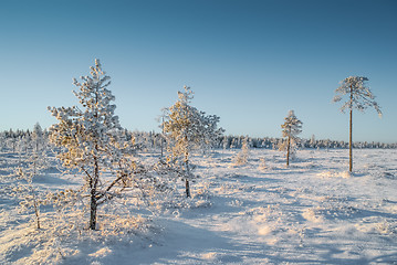 Image showing Country in winter