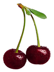 Image showing Two sweet cherries with water drops