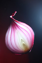 Image showing Onions