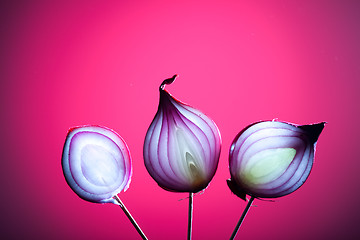 Image showing Onions