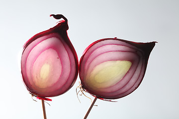 Image showing Onions