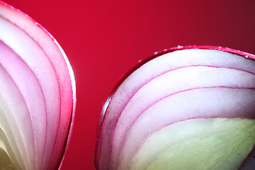 Image showing Onions