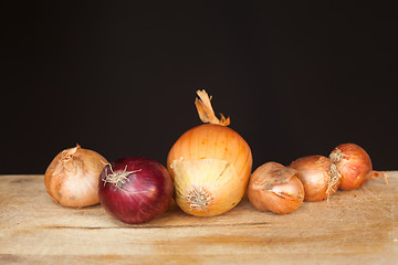 Image showing Onions