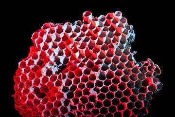 Image showing honeycomb