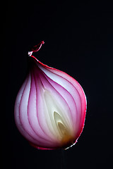 Image showing Onions