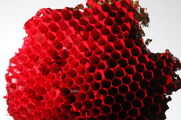 Image showing honeycomb