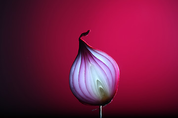 Image showing Onions