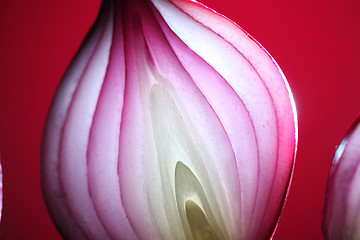 Image showing Onions