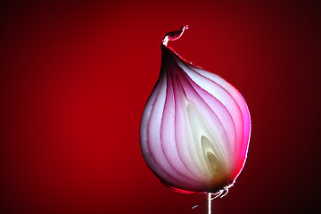 Image showing Onions