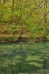 Image showing Small lake with trees