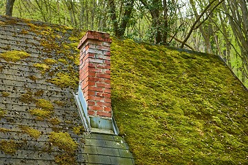 Image showing Roof with moss growing