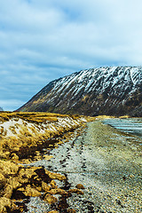 Image showing Rocky beach