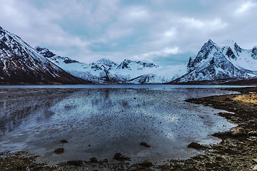 Image showing low tide