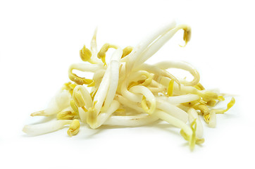 Image showing Pile of bean sprouts