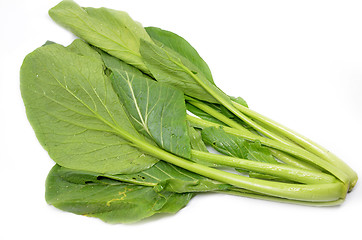 Image showing Choy sum vegetable