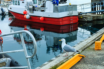 Image showing harbor checking