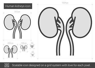 Image showing Human kidneys line icon.