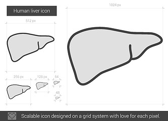 Image showing Human liver line icon.